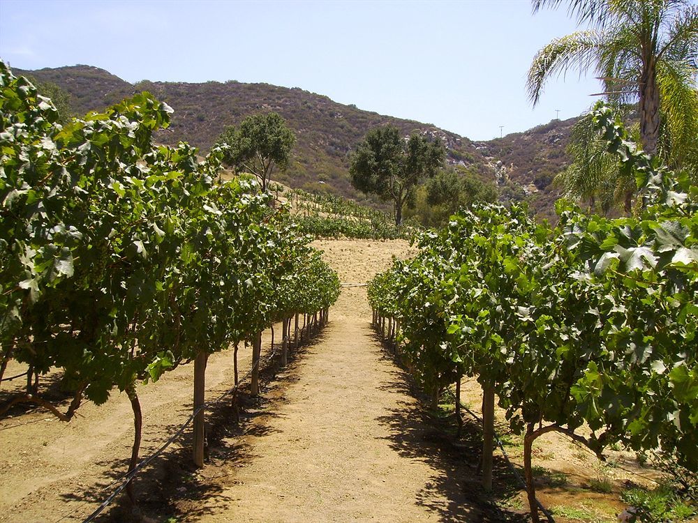 ホテル Vineyard Hacienda Spring Valley  エクステリア 写真